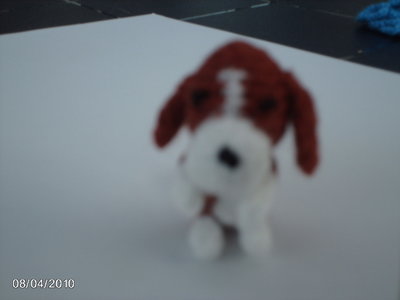 boomer hondje 210