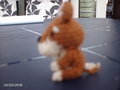 hondje-siep-202