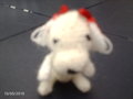 hondje-Shelly-211