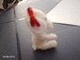 hondje Shelly 211_1